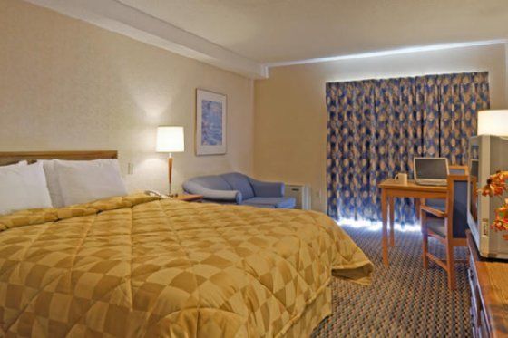 Comfort Inn Owen Sound Zimmer foto